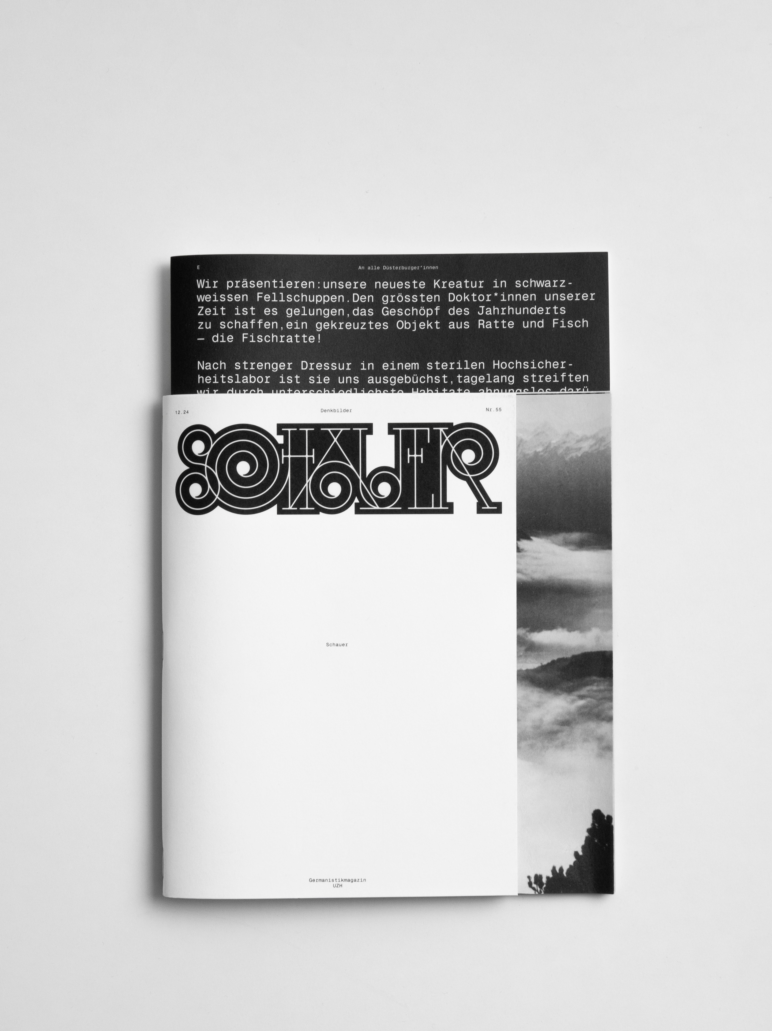 MultiSet: Denkbilder Magazine Nr. 55 (Fig.2)