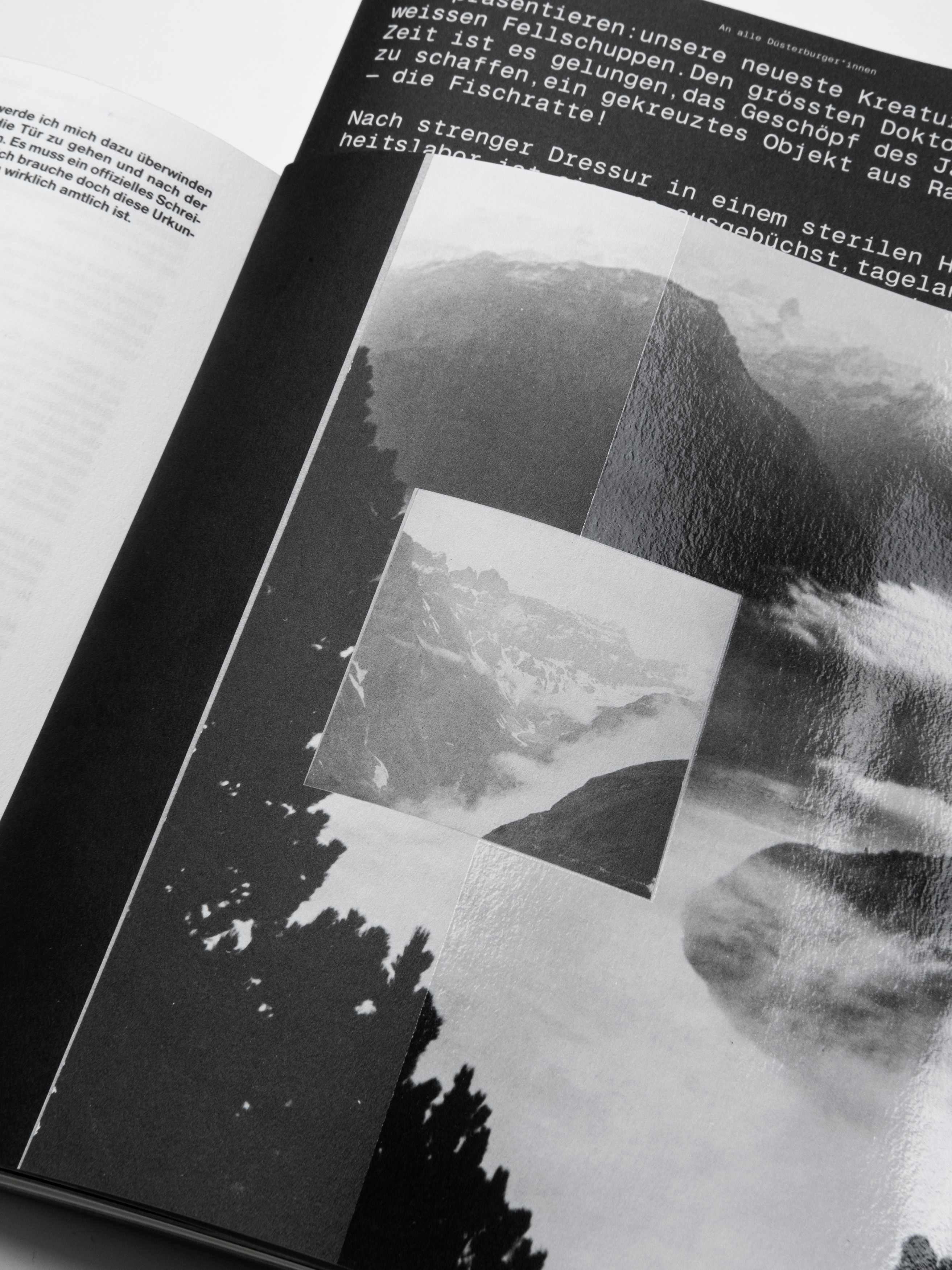 MultiSet: Denkbilder Magazine Nr. 55 (Fig.2)