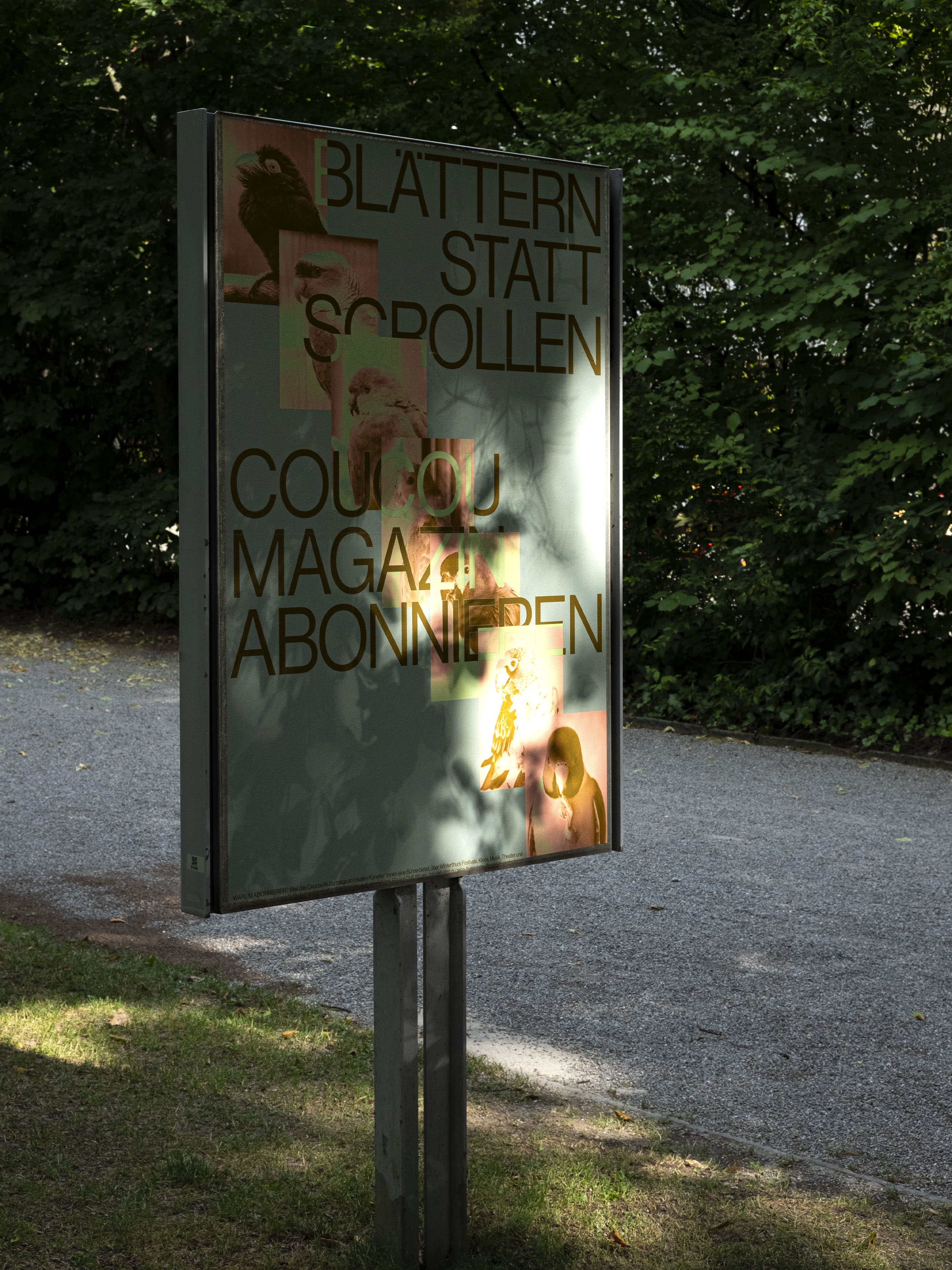 MultiSet: Coucou Kampagne (Fig.1)
