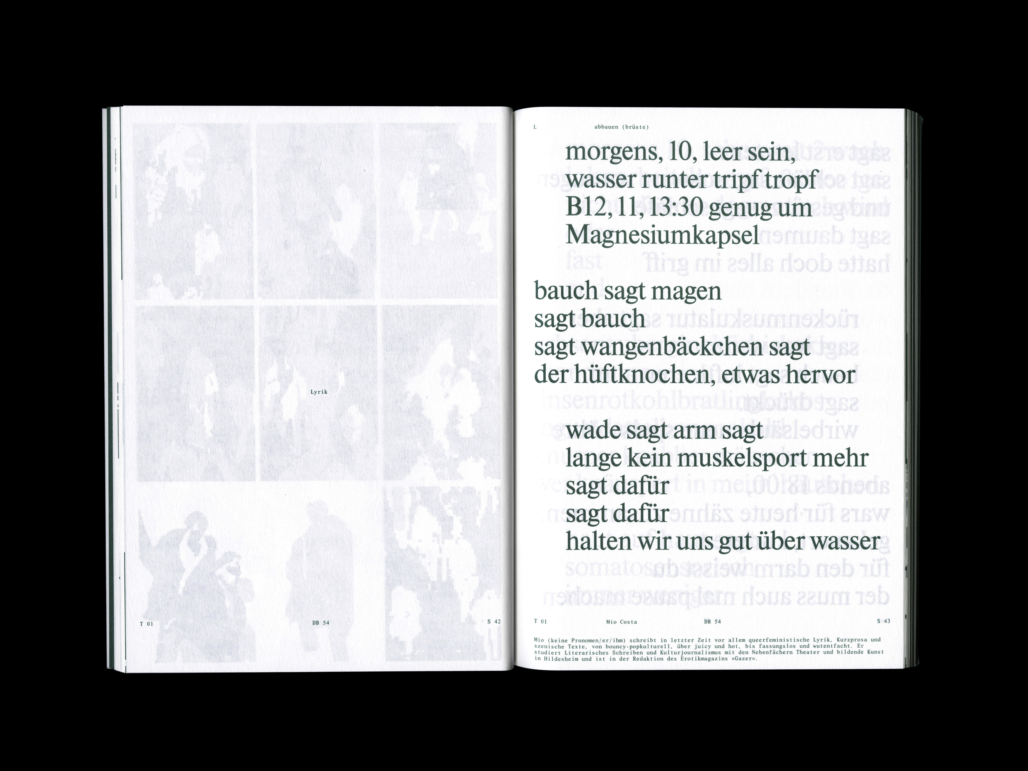 MultiSet: Denkbilder Magazine Nr. 54 (Fig.13)