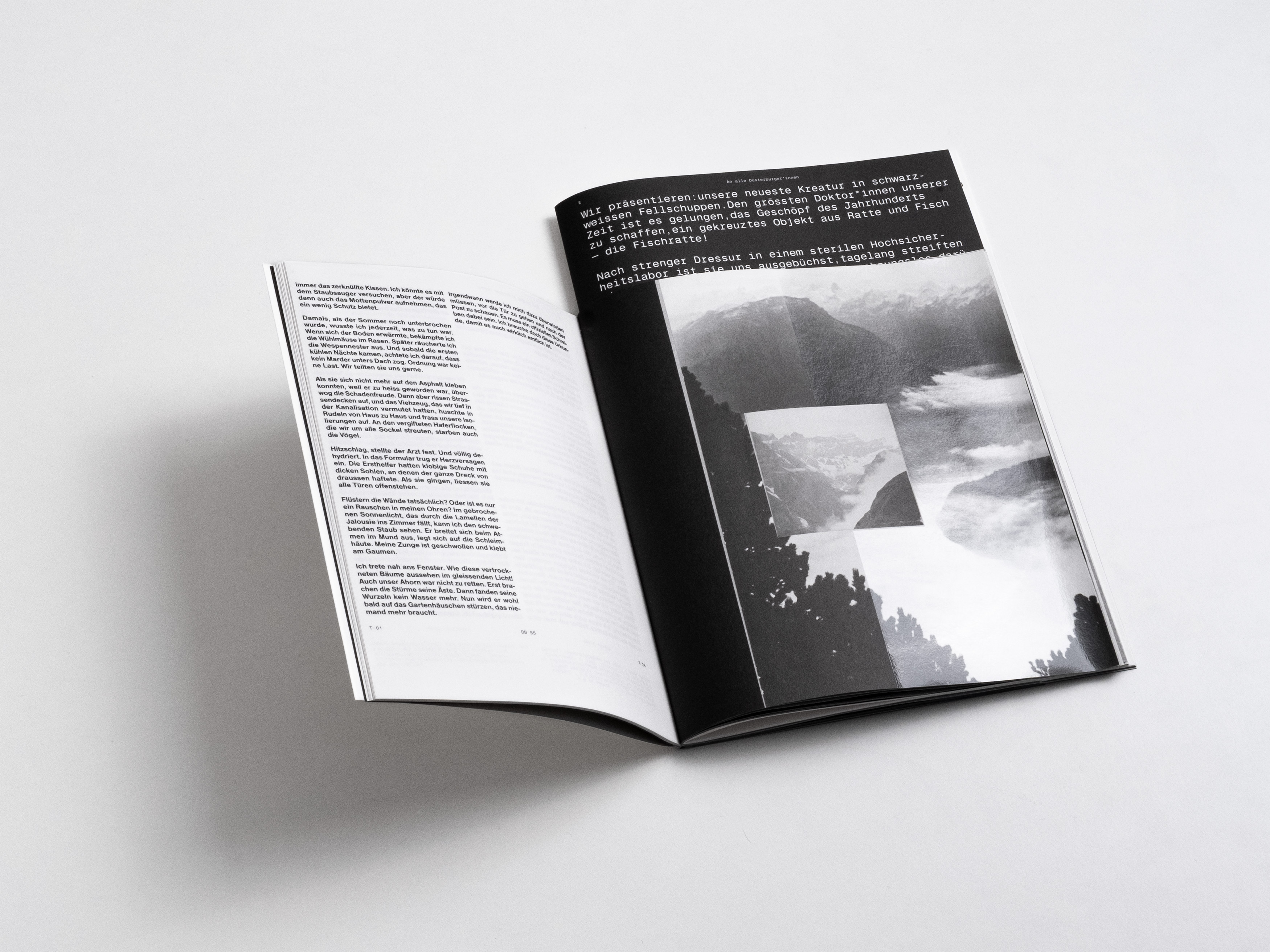 MultiSet: Denkbilder Magazine Nr. 55 (Fig.2)