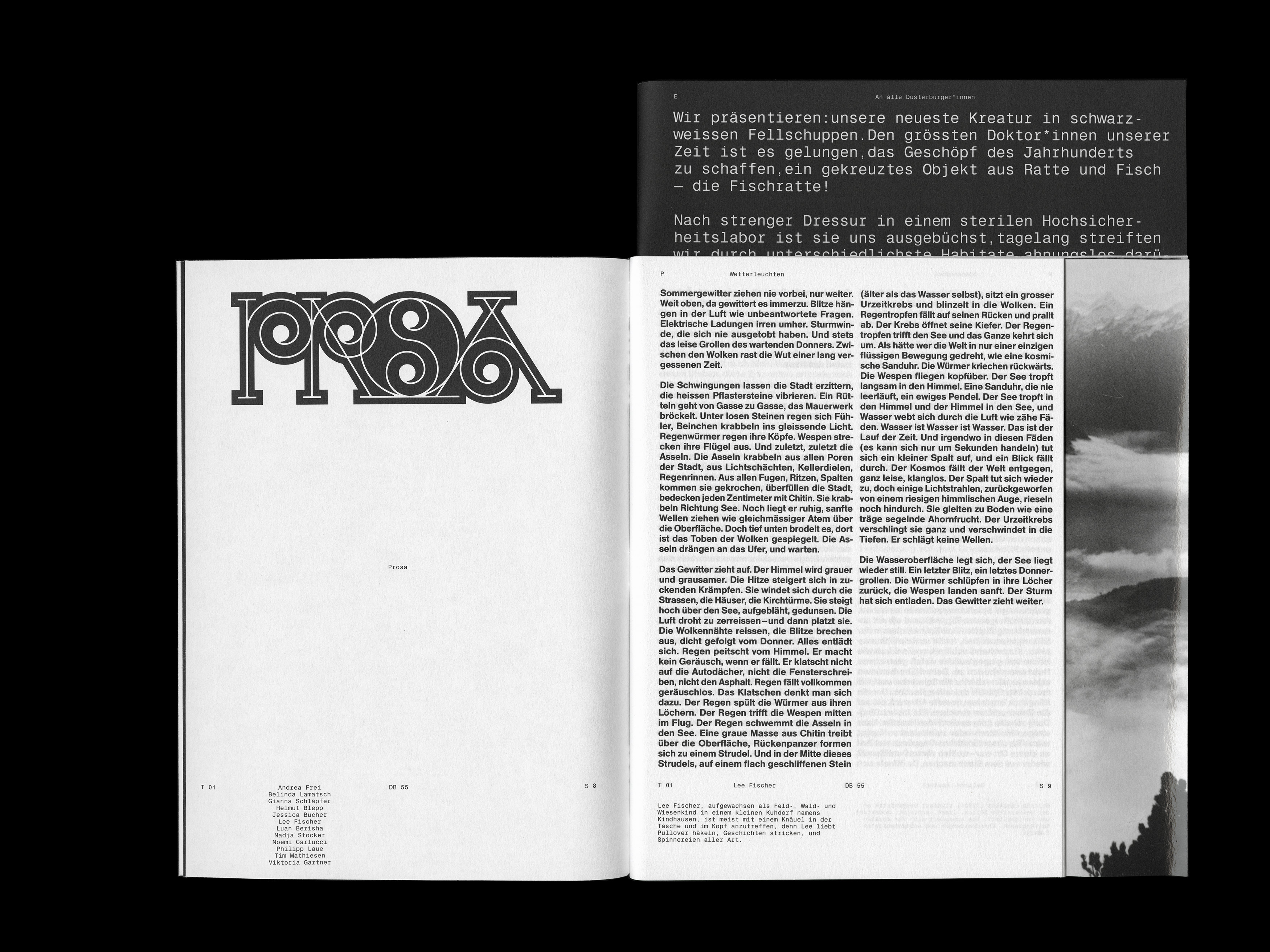 MultiSet: Denkbilder Magazine Nr. 55 (Fig.10)