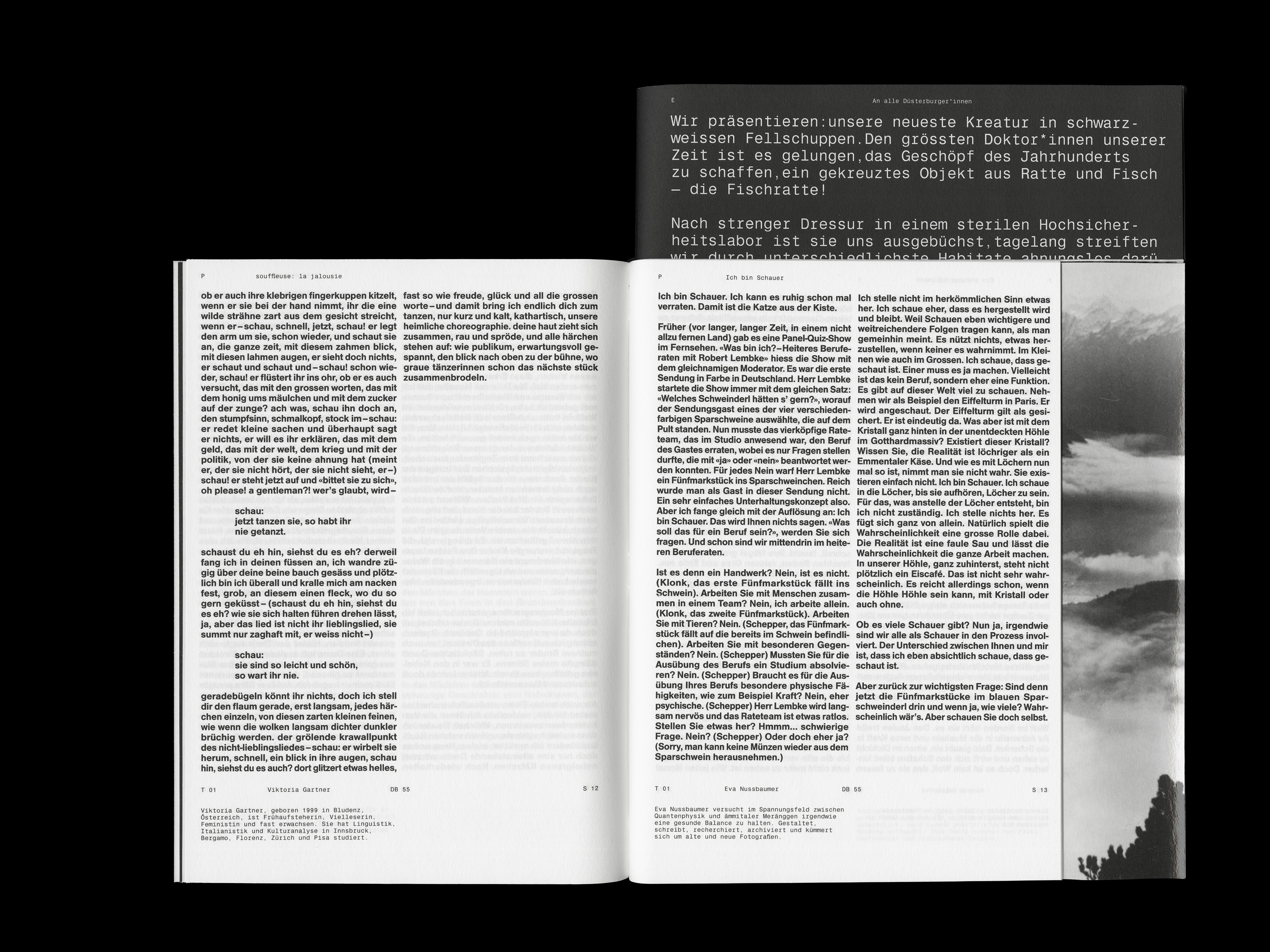 MultiSet: Denkbilder Magazine Nr. 55 (Fig.11)