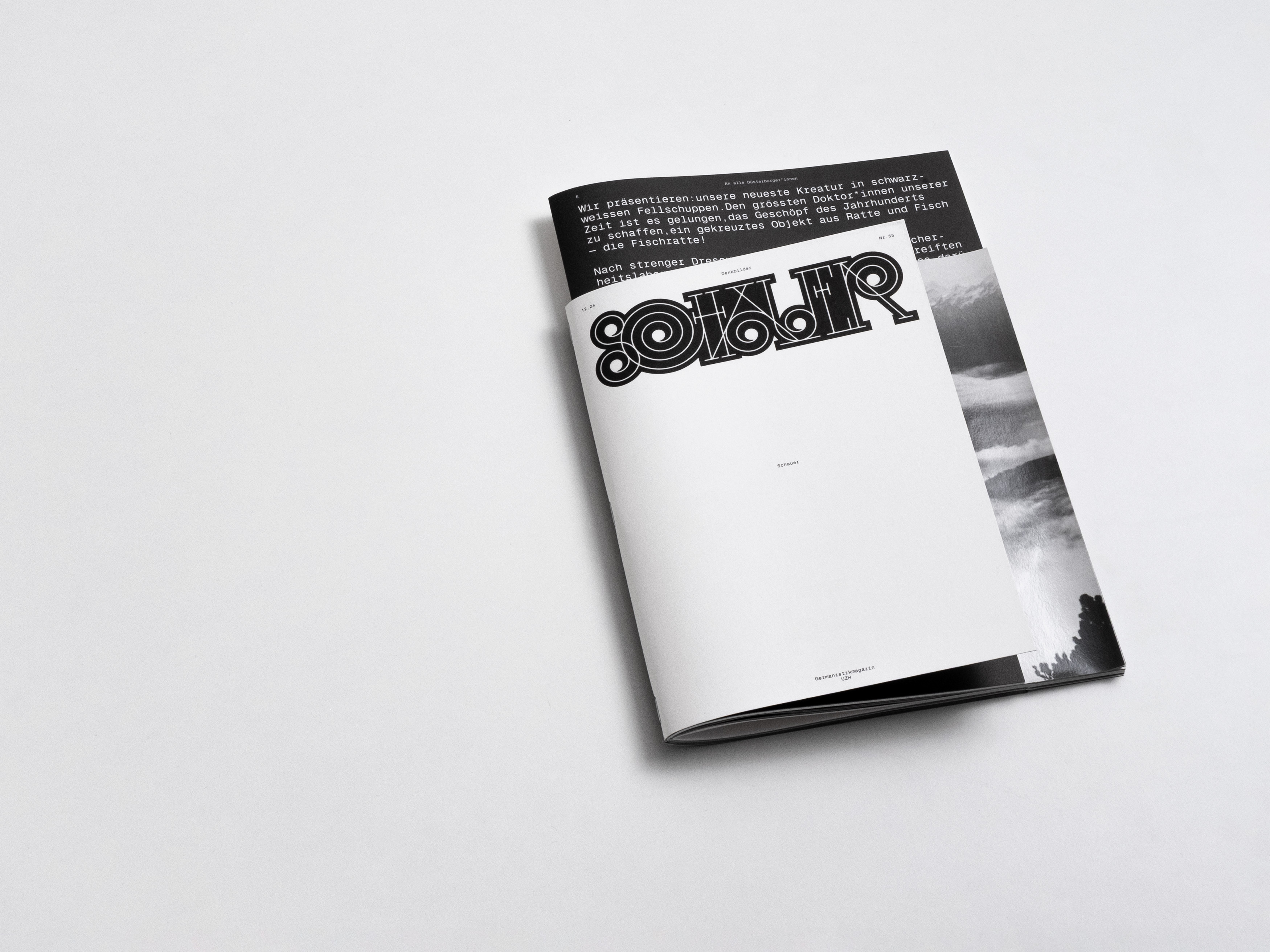 MultiSet: Denkbilder Magazine Nr. 55 (Fig.1)