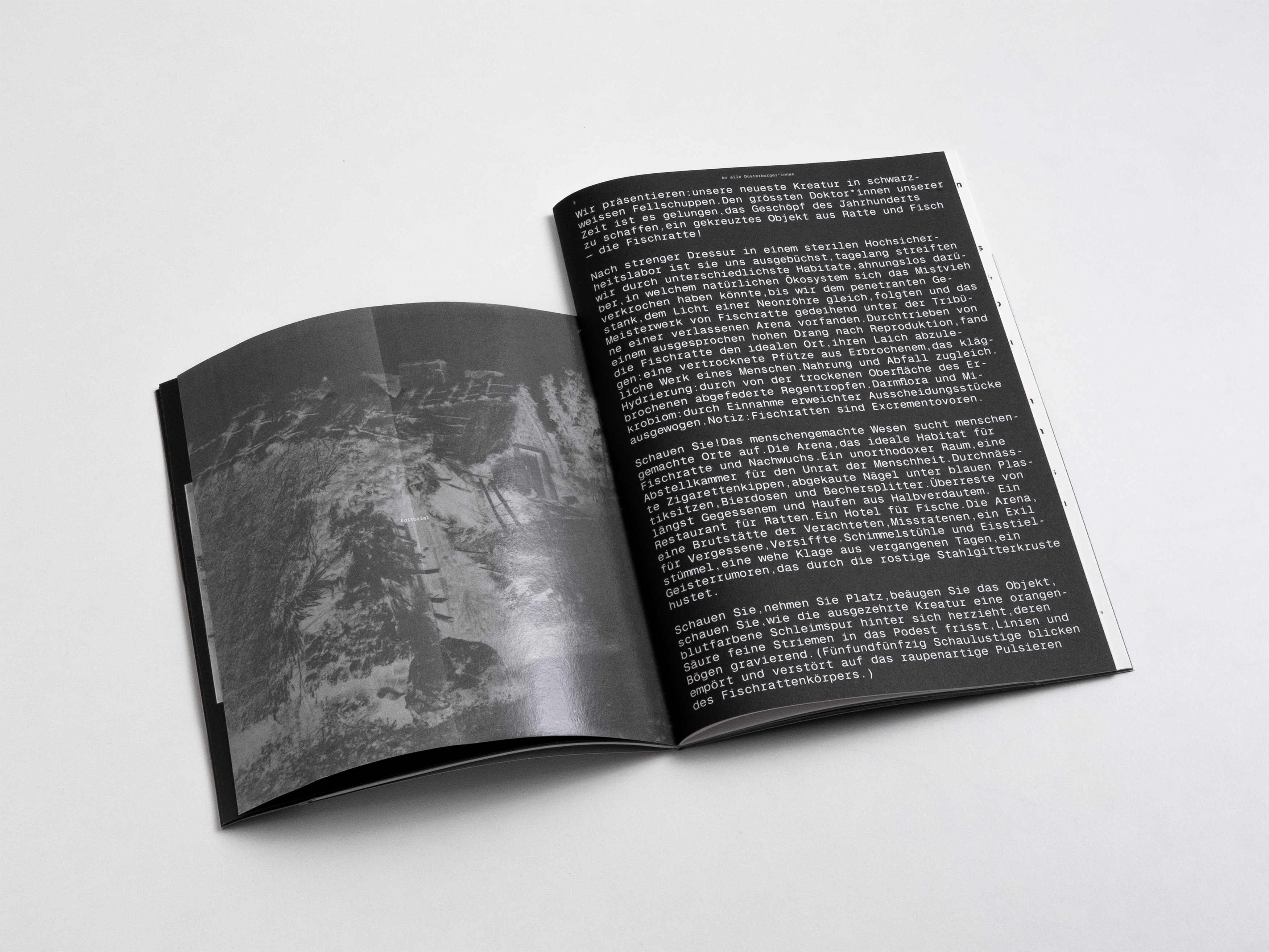 MultiSet: Denkbilder Magazine Nr. 55 (Fig.3)