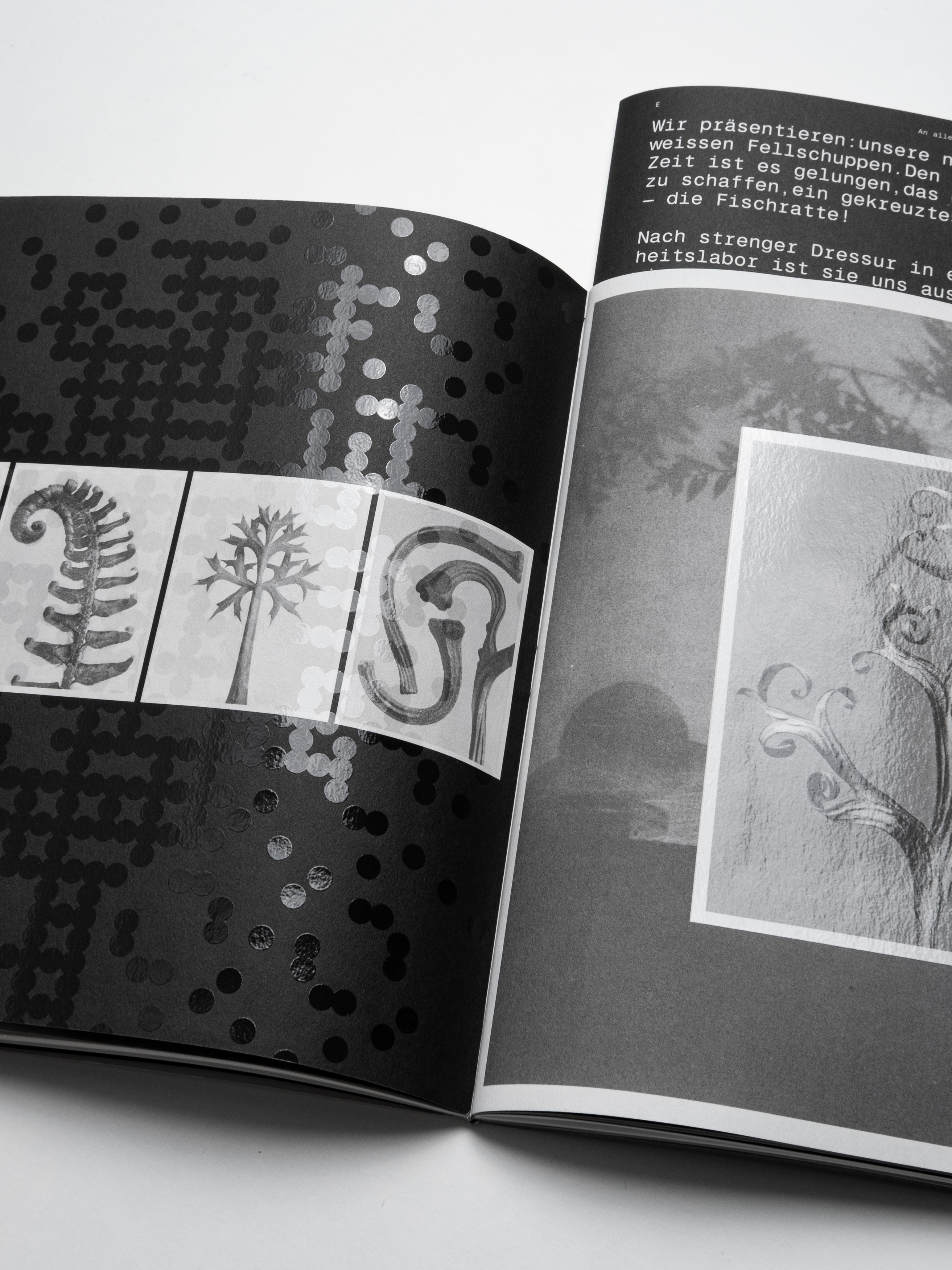 MultiSet: Denkbilder Magazine Nr. 55 (Fig.17)