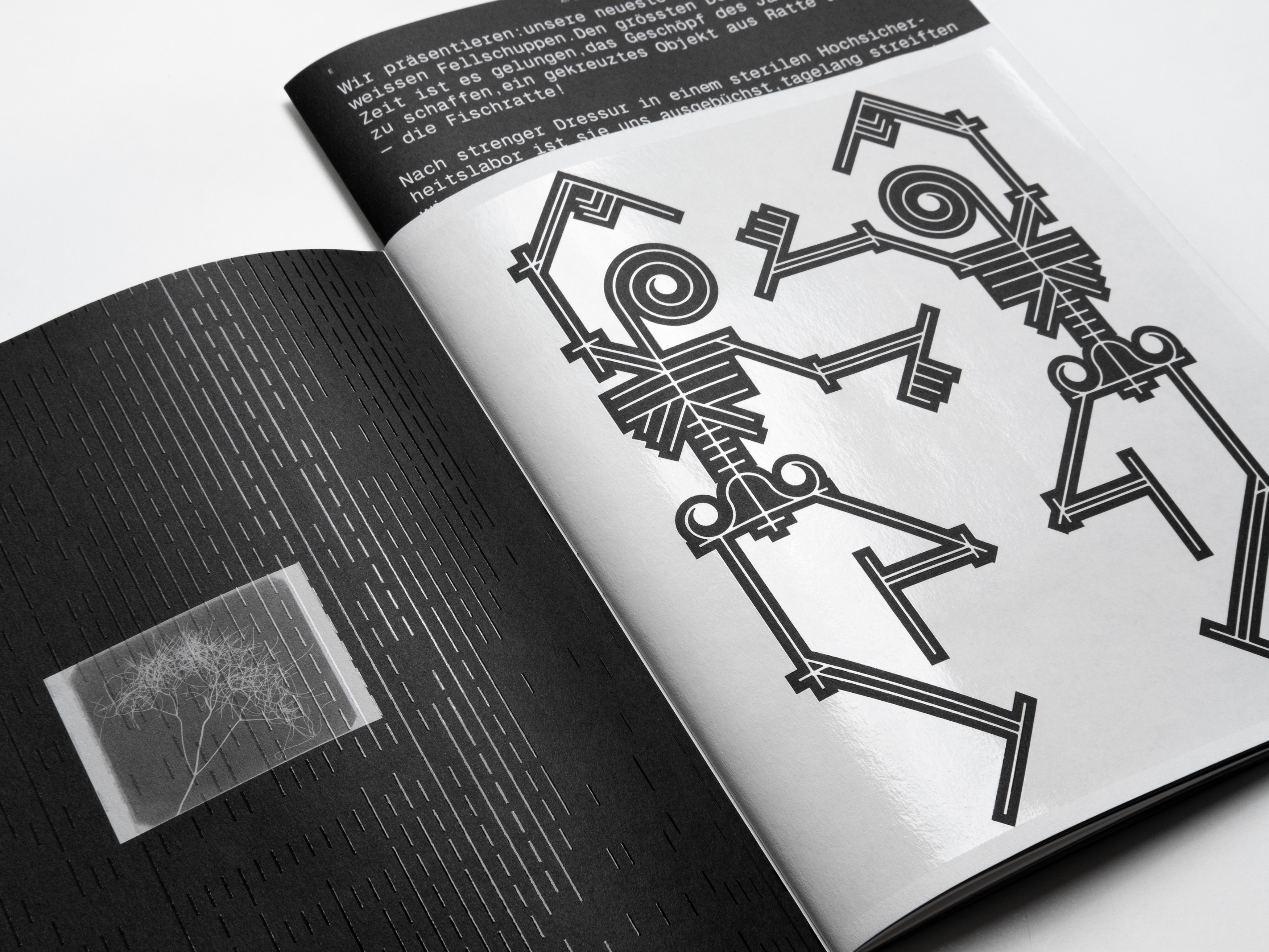 MultiSet: Denkbilder Magazine Nr. 55 (Fig.16)