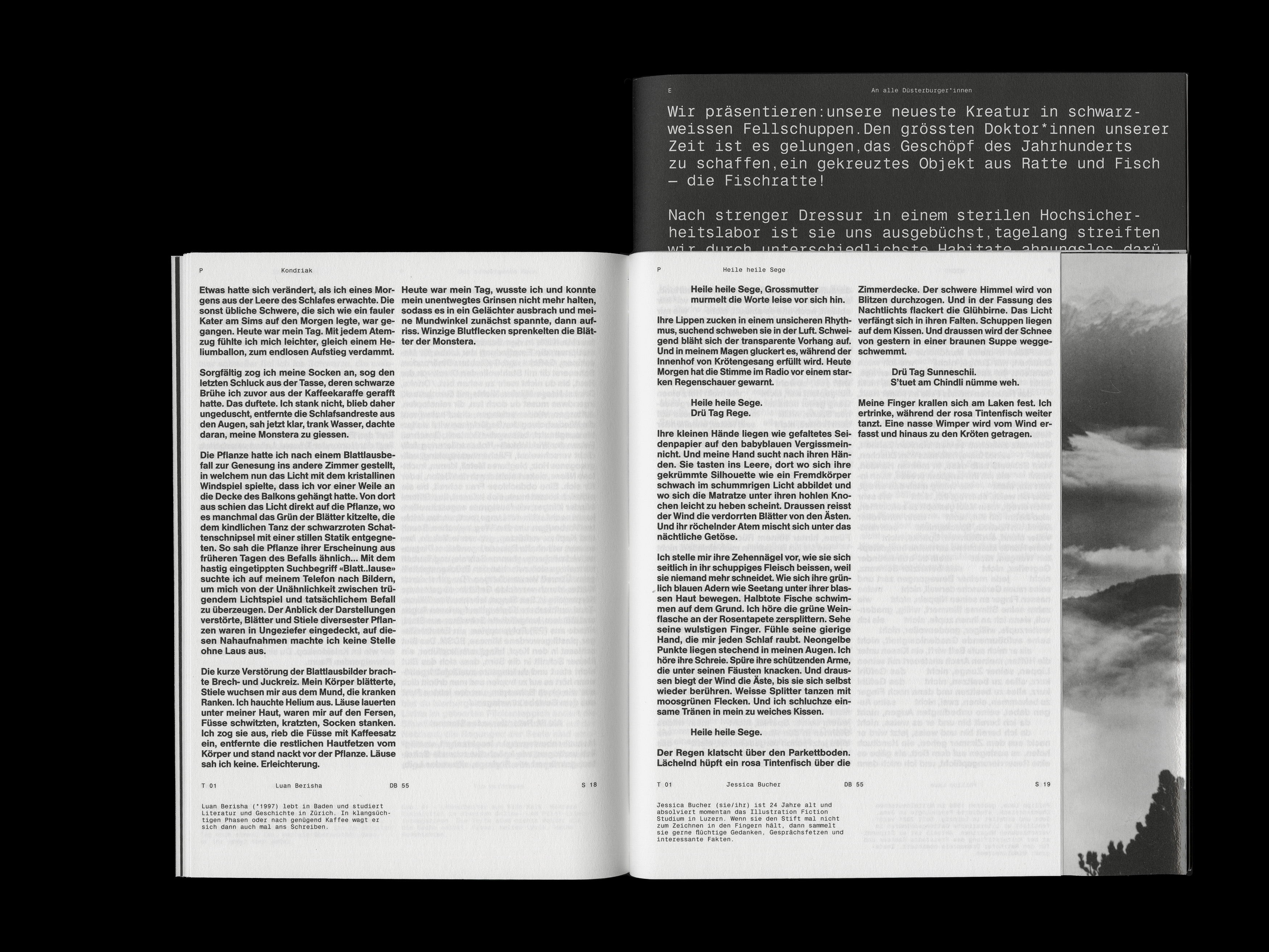 MultiSet: Denkbilder Magazine Nr. 55 (Fig.12)